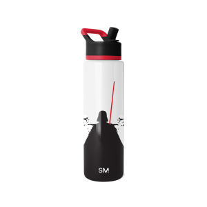 Summit Water Bottle with Straw Lid