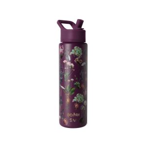 Summit Water Bottle with Straw Lid